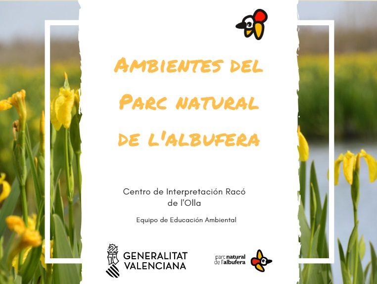 Sigue este enlace para descargar en una nueva ventana el dossier "Ambientes del Parc Natural de l'Albufera.pdf".