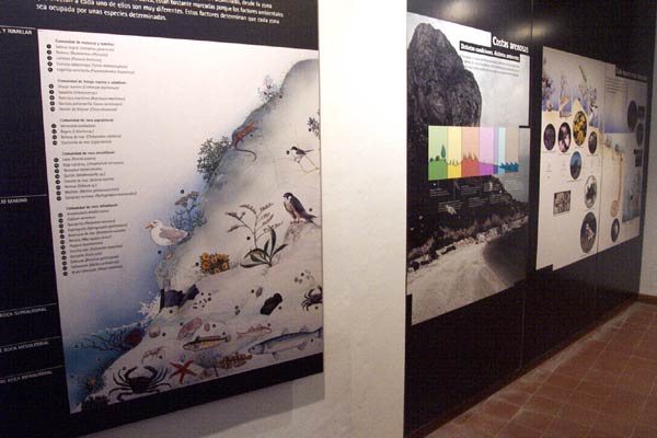 Exposición del PN Penyal d'Ifac (2)