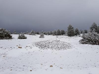 Nevada de gener 2019 - Fotografia de Carlos Pallardó (9)